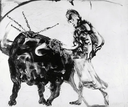 飞尘腐蚀法 Barcelo - Lanzarote 56