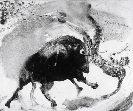 蚀刻飞尘法 Barcelo - Lanzarote 58