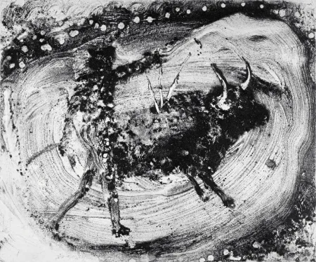 飞尘腐蚀法 Barcelo - Lanzarote 59