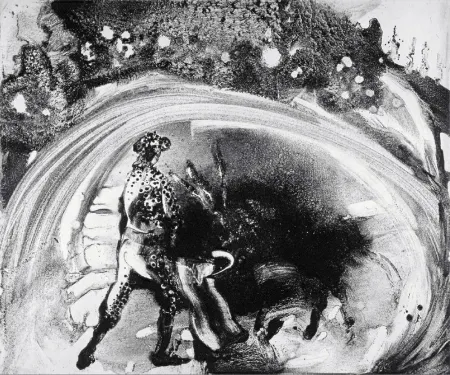 飞尘腐蚀法 Barcelo - Lanzarote 60