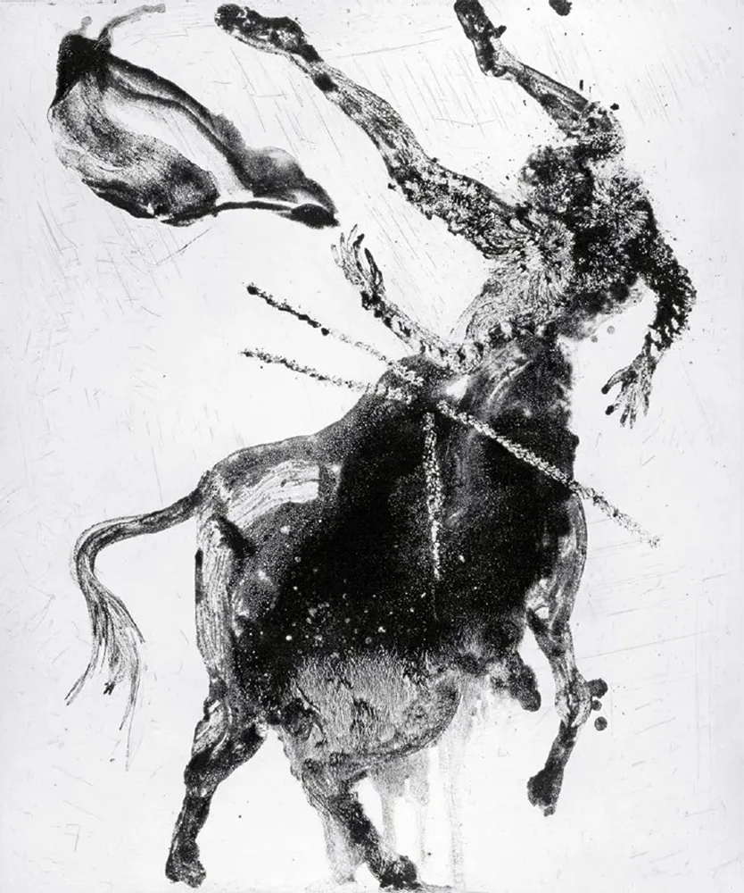 蚀刻飞尘法 Barcelo - Lanzarote 62