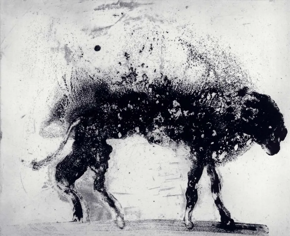 蚀刻飞尘法 Barcelo - Lanzarote 8