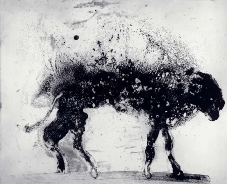 蚀刻飞尘法 Barcelo - Lanzarote 8