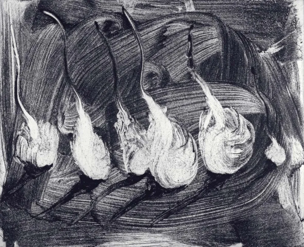 蚀刻飞尘法 Barcelo - Lanzarote 9