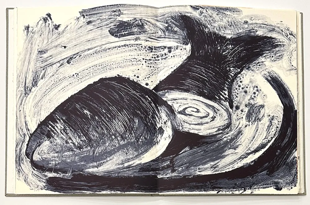 插图书 Barcelo - Noise - Deluxe Edition