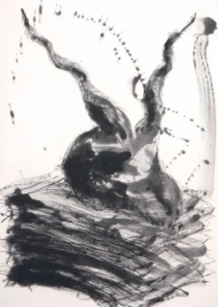 蚀刻飞尘法 Barcelo - Sans titre