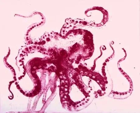 飞尘腐蚀法 Barcelo - Serie Lanzarote 13