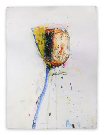 无技术 Baribeau - Stem #204