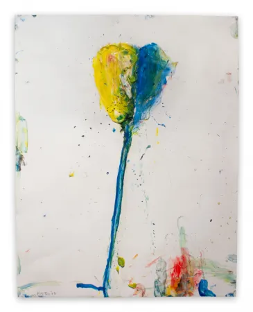 无技术 Baribeau - Stem #229