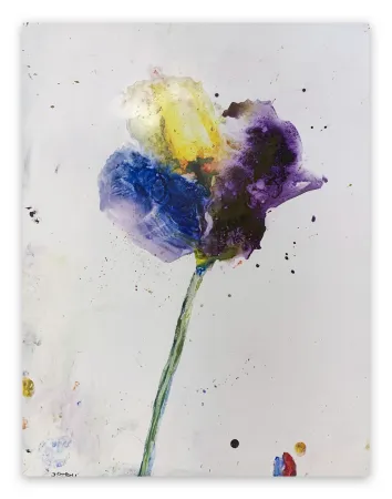 无技术 Baribeau - Stem #28