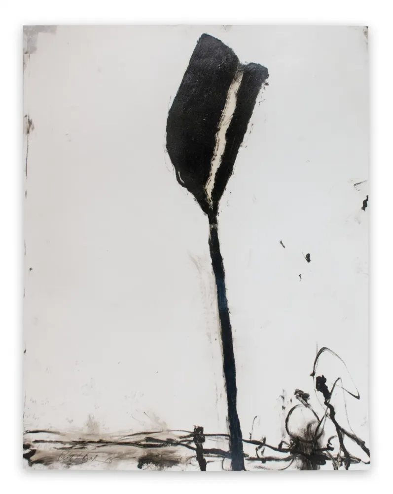 无技术 Baribeau - Stem in Black #1 