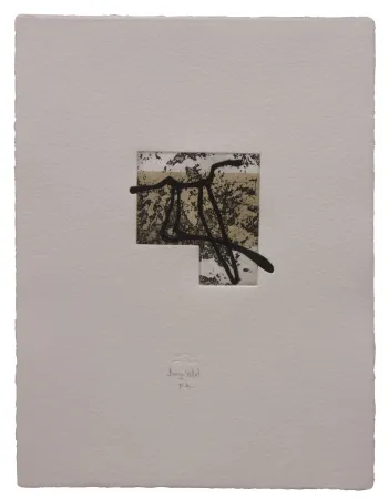 蚀刻飞尘法 Baroja-Collet - Animal