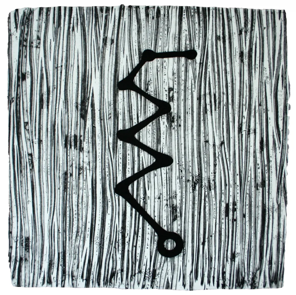 蚀刻飞尘法 Baroja-Collet - Articulación