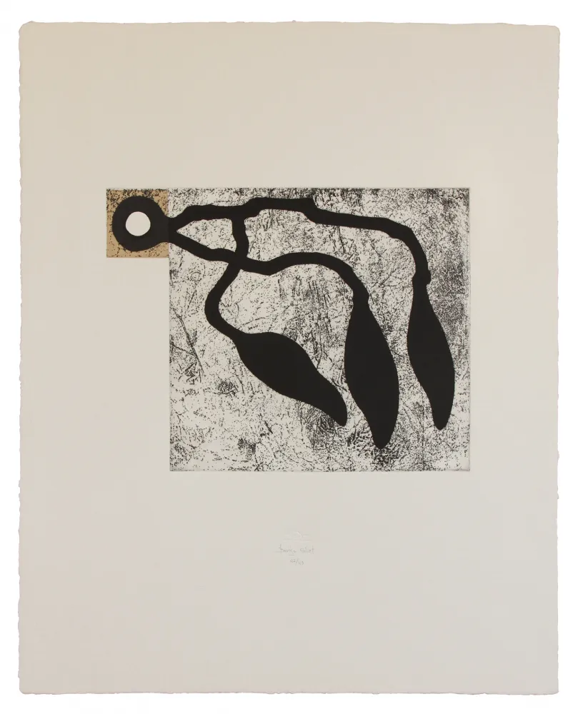 蚀刻飞尘法 Baroja-Collet - Atrapados