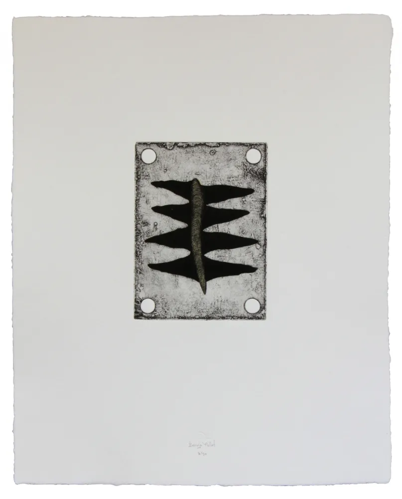 蚀刻飞尘法 Baroja-Collet - Babiene