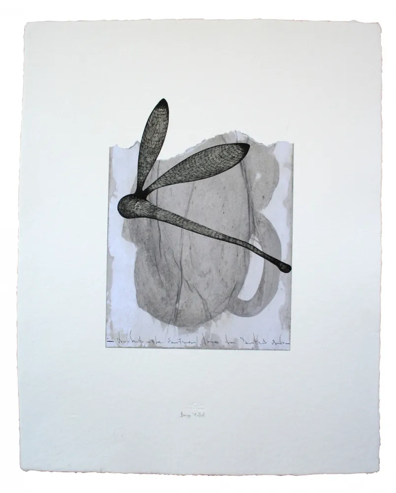 复数作品 Baroja-Collet - Collage