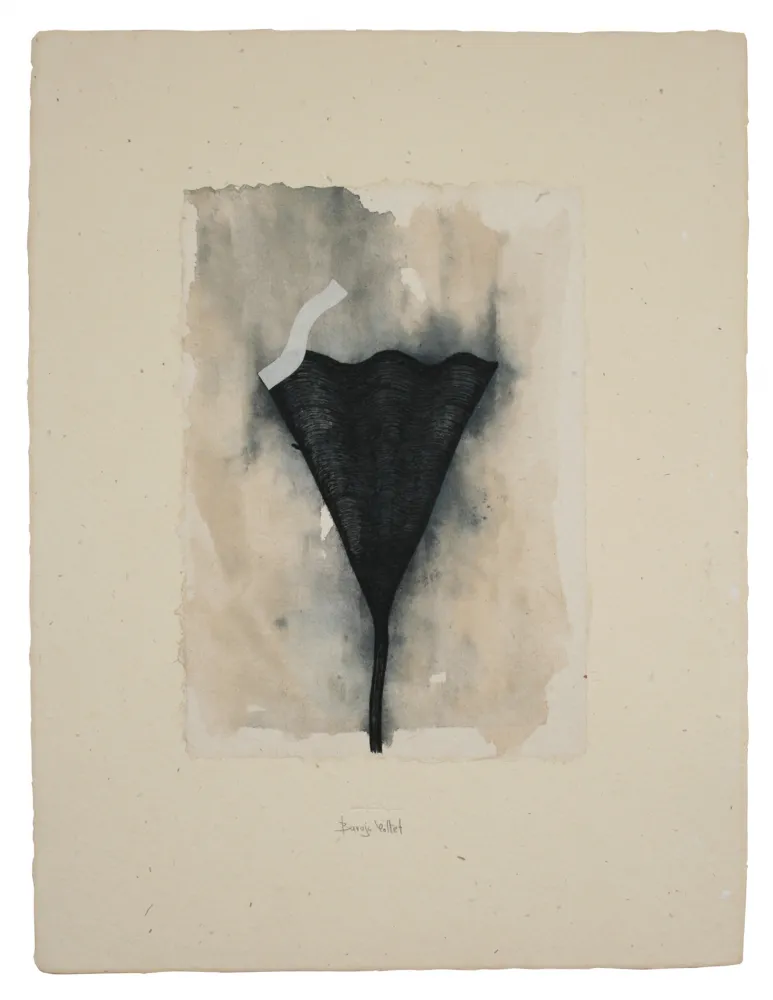 复数作品 Baroja-Collet - Collage