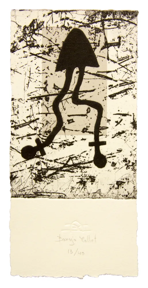 蚀刻飞尘法 Baroja-Collet - Debatik VI