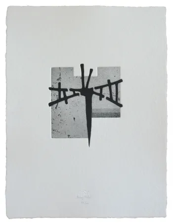 蚀刻飞尘法 Baroja-Collet - Espacios cruzados