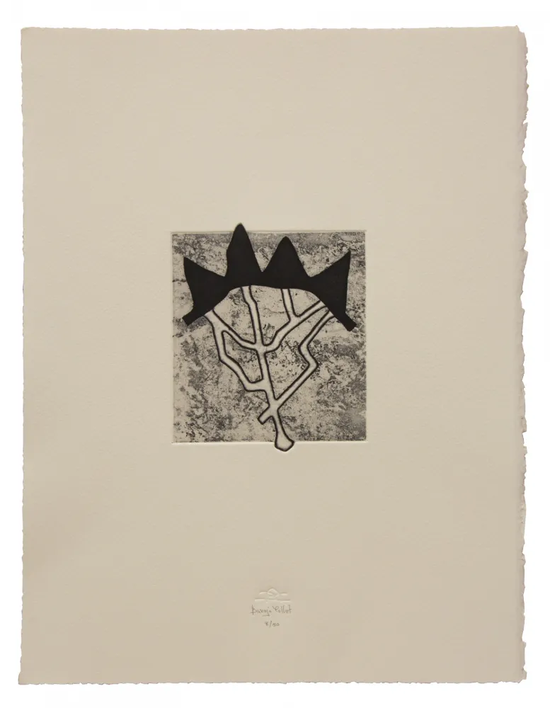 蚀刻飞尘法 Baroja-Collet - Estructurada