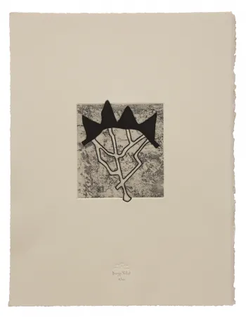 蚀刻飞尘法 Baroja-Collet - Estructurada