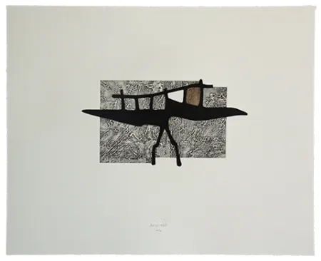 蚀刻飞尘法 Baroja-Collet - Goleta