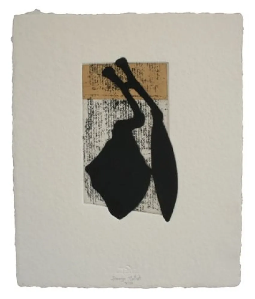 蚀刻飞尘法 Baroja-Collet - Laia