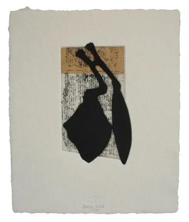 蚀刻飞尘法 Baroja-Collet - Laia