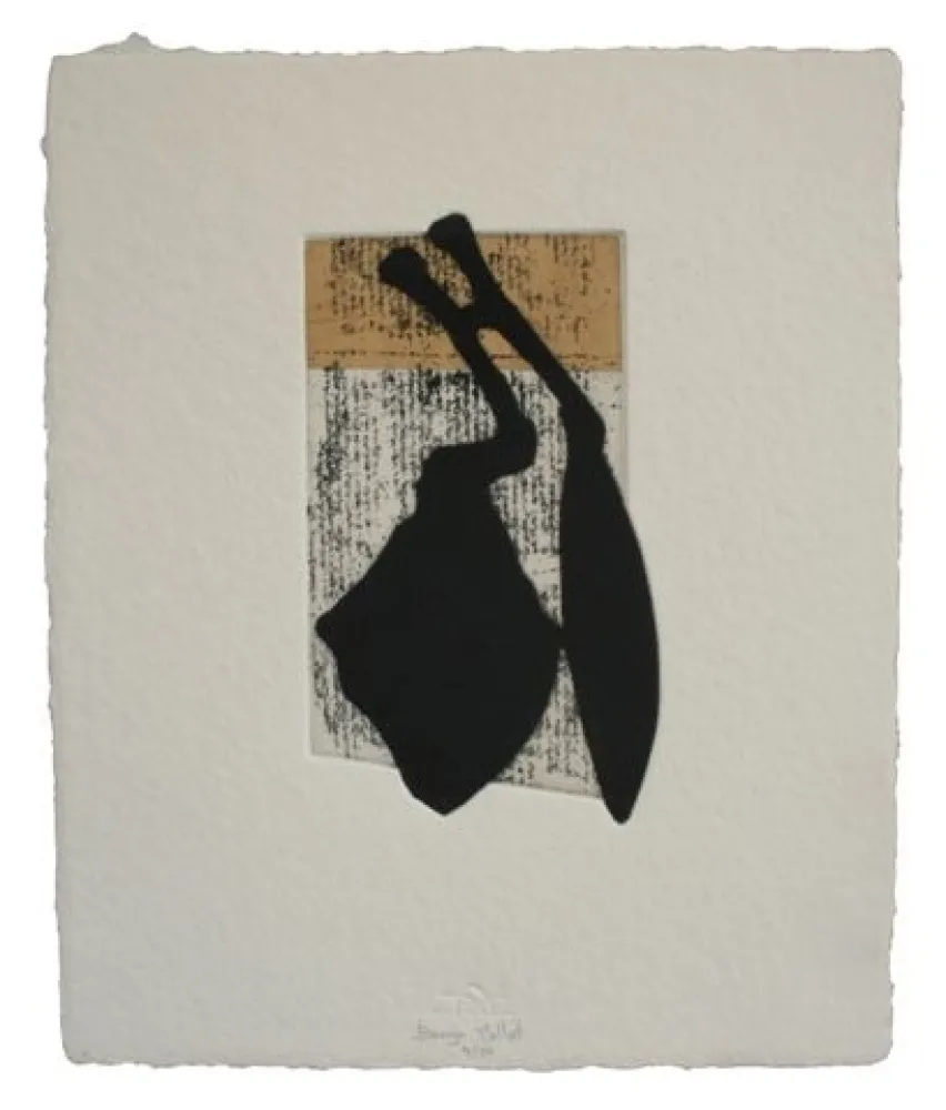 蚀刻飞尘法 Baroja-Collet - Laia