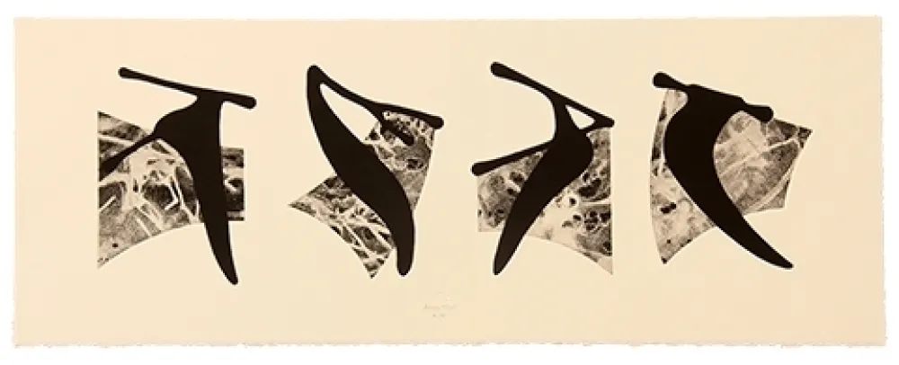 版画 Baroja-Collet - Neguko kronika