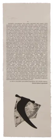 插图书 Baroja-Collet - Neguko kronika hegoaldeko ordeketan