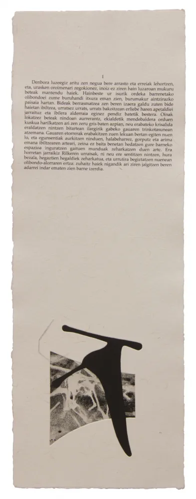 插图书 Baroja-Collet - Neguko kronika hegoaldeko ordeketan