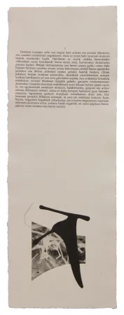 插图书 Baroja-Collet - Neguko kronika hegoaldeko ordeketan