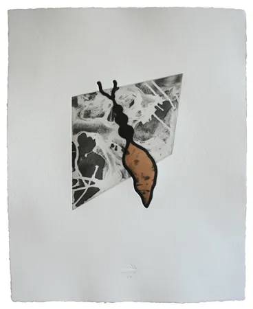 蚀刻飞尘法 Baroja-Collet - Reina