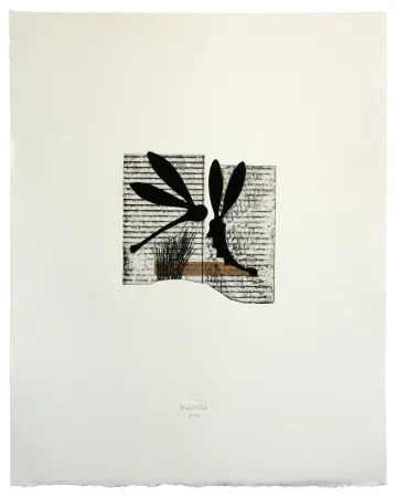 蚀刻飞尘法 Baroja-Collet - Seducción