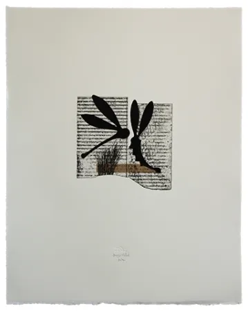 蚀刻飞尘法 Baroja-Collet - Seducción