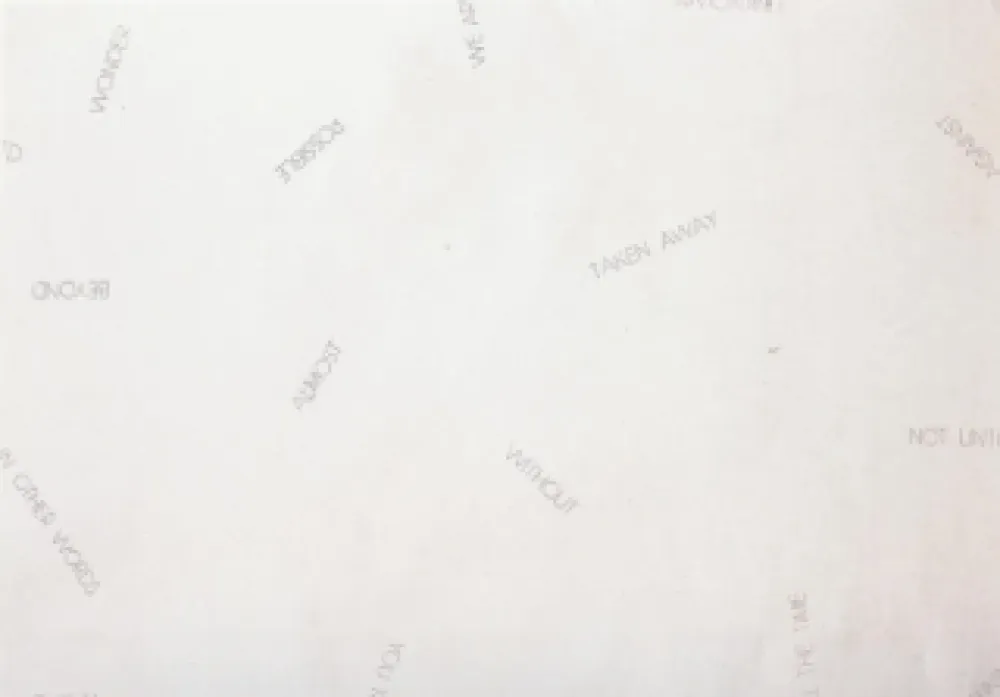 石版画 Barry - Sans titre