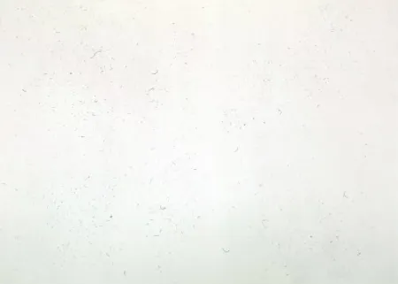 版画 Bartolini - Dust Chaser 1