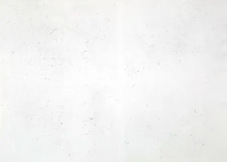 版画 Bartolini - Dust Chaser 2