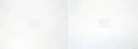 版画 Bartolini - Dust Chaser