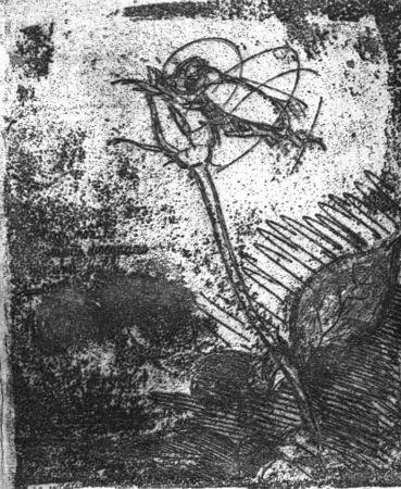蚀刻版画 Bartolini - La rosa