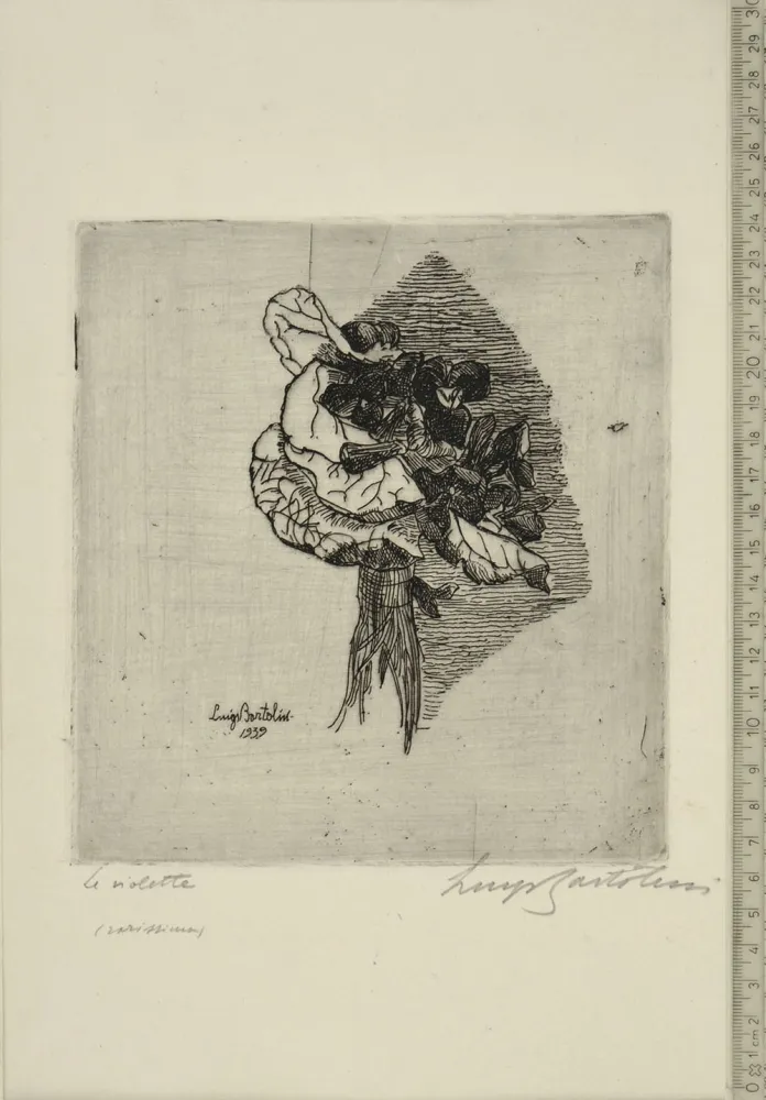蚀刻版画 Bartolini - LE VIOLETTE