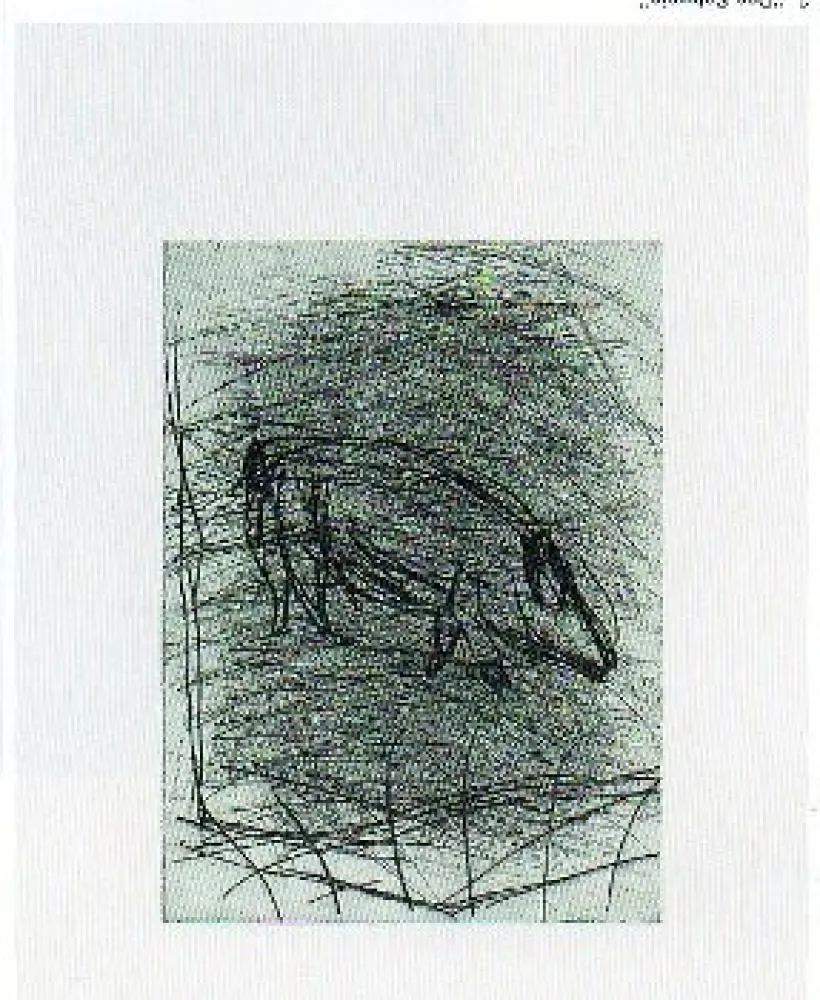 干刻版画 Baselitz - Das Schwein 