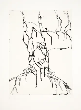 飞尘腐蚀法 Baselitz - 