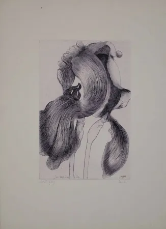 蚀刻飞尘法 Baskin - An Iris for Lisa