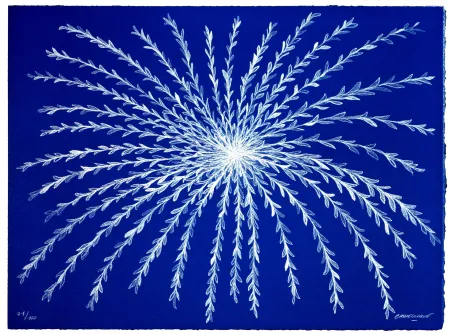 石版画 Baudelocque - Etoile végétale