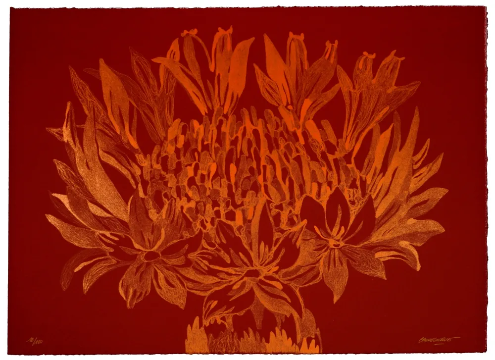 石版画 Baudelocque - Lys