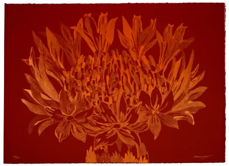 石版画 Baudelocque - Lys