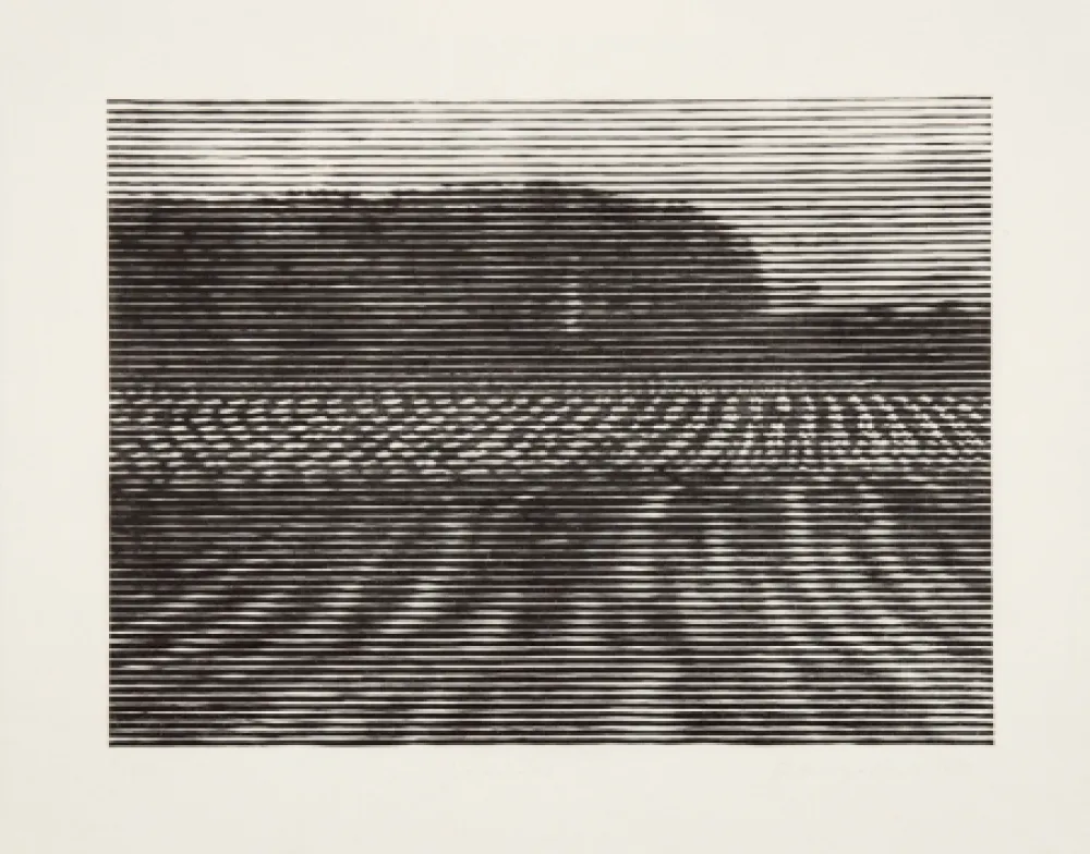 木刻 Baumgartner - Gelände