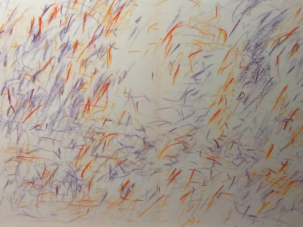 插图书 Bazaine - DLM 170